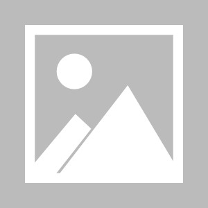 【夜读】CBA要全华班，林书豪又要失业？